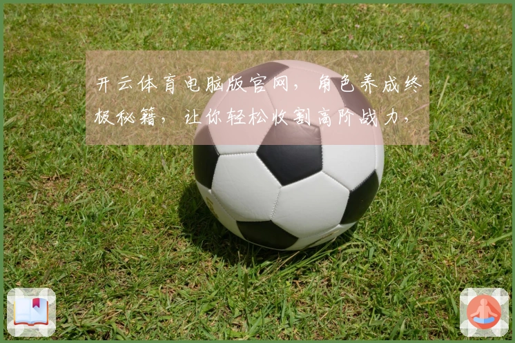 开云体育电脑版官网，角色养成终极秘籍，让你轻松收割高阶战力，告别卡关烦恼！