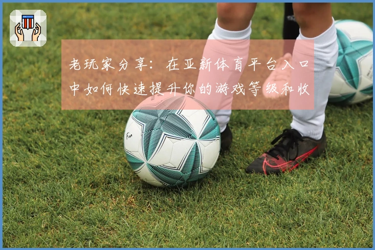 老玩家分享：在亚新体育平台入口中如何快速提升你的游戏等级和收益？