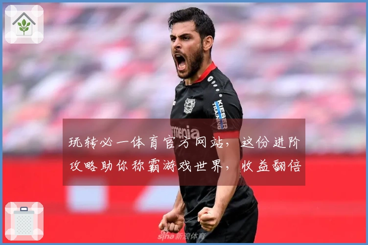 玩转必一体育官方网站，这份进阶攻略助你称霸游戏世界，收益翻倍！