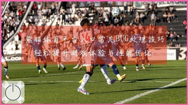 熊猫体育平台入口常见BUG处理技巧，轻松提升游戏体验与性能优化